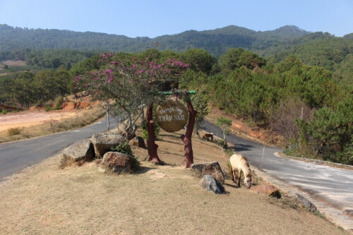 wp-1422786590859 image